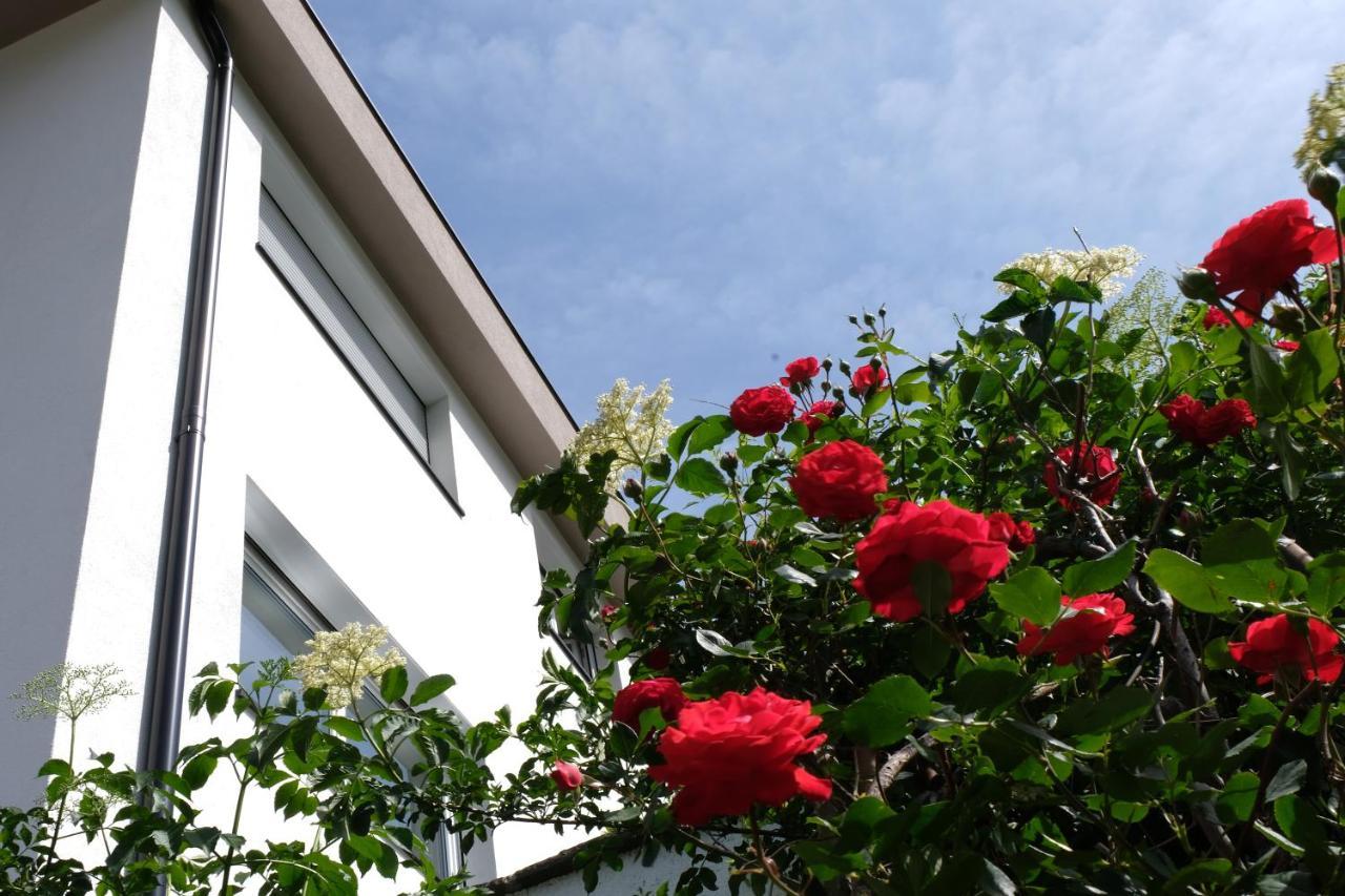 Apartment Le Rose Di Marianne - Ovest Vahrn Экстерьер фото